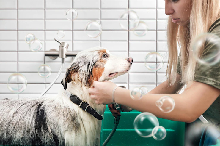 <b>Banho e tosa</b> com carinho, cuidado e profissionais experientes para deixar seu pet ainda mais feliz.